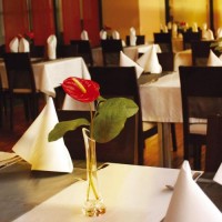 ресторан - фотогалерея на RCC-TRAVEL.RU ресторан - фотогалерея на RCC-TRAVEL.RU