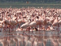 ������� ����� - ����������� �� RCC-TRAVEL.RU