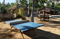 настольный теннис - фотогалерея на RCC-TRAVEL.RU настольный теннис - фотогалерея на RCC-TRAVEL.RU