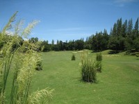 гольф - фотогалерея на RCC-TRAVEL.RU гольф - фотогалерея на RCC-TRAVEL.RU