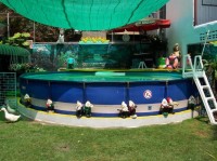 детский бассейн - фотогалерея на RCC-TRAVEL.RU детский бассейн - фотогалерея на RCC-TRAVEL.RU