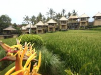 территория отеля - фотогалерея на RCC-TRAVEL.RU территория отеля - фотогалерея на RCC-TRAVEL.RU