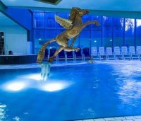 бассейн - фотогалерея на RCC-TRAVEL.RU бассейн - фотогалерея на RCC-TRAVEL.RU