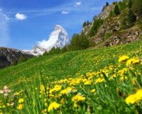 природа - фотогалерея на RCC-TRAVEL.RU природа - фотогалерея на RCC-TRAVEL.RU