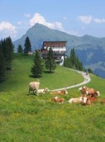 ��� - ����������� �� RCC-TRAVEL.RU