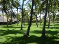 ���������� ����� - ����������� �� RCC-TRAVEL.RU