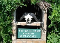 ����� ��� - ����������� �� RCC-TRAVEL.RU