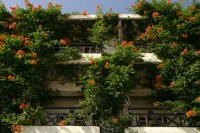 ��� ����� - ����������� �� RCC-TRAVEL.RU