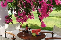 ���� ������ - ����������� �� RCC-TRAVEL.RU