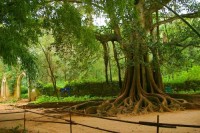 природа - фотогалерея на RCC-TRAVEL.RU природа - фотогалерея на RCC-TRAVEL.RU