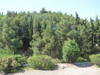 ���������� - ����������� �� RCC-TRAVEL.RU