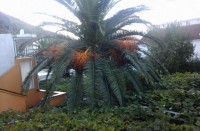 территория отеля - фотогалерея на RCC-TRAVEL.RU территория отеля - фотогалерея на RCC-TRAVEL.RU