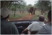 природа - фотогалерея на RCC-TRAVEL.RU природа - фотогалерея на RCC-TRAVEL.RU