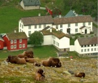 вид сверху - фотогалерея на RCC-TRAVEL.RU вид сверху - фотогалерея на RCC-TRAVEL.RU