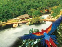   -   RCC-TRAVEL.RU