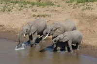 ������� ����� - ����������� �� RCC-TRAVEL.RU