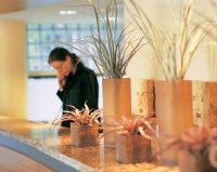 ресепшен - фотогалерея на RCC-TRAVEL.RU ресепшен - фотогалерея на RCC-TRAVEL.RU