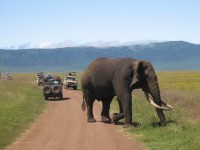 ��������� �� ����������� - ����������� �� RCC-TRAVEL.RU