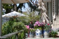 ��� - ����������� �� RCC-TRAVEL.RU