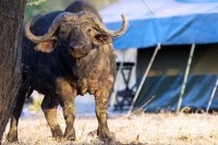 ������� ����� - ����������� �� RCC-TRAVEL.RU