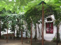 вид - фотогалерея на RCC-TRAVEL.RU вид - фотогалерея на RCC-TRAVEL.RU