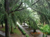 ���������� ����� - ����������� �� RCC-TRAVEL.RU