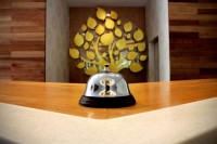 ресепшн - фотогалерея на RCC-TRAVEL.RU ресепшн - фотогалерея на RCC-TRAVEL.RU