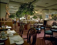 ресторан - фотогалерея на RCC-TRAVEL.RU ресторан - фотогалерея на RCC-TRAVEL.RU