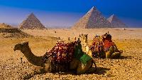 Стоимость путевок в Египет останется прежней