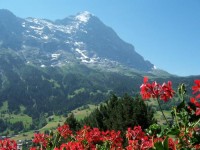 ������� - ����������� �� RCC-TRAVEL.RU