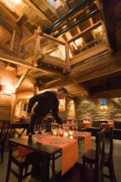 �������� - ����������� �� RCC-TRAVEL.RU