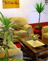 �������� - ����������� �� RCC-TRAVEL.RU