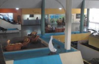  -   RCC-TRAVEL.RU