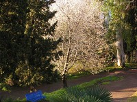 природа - фотогалерея на RCC-TRAVEL.RU природа - фотогалерея на RCC-TRAVEL.RU