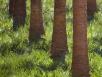 вид - фотогалерея на RCC-TRAVEL.RU вид - фотогалерея на RCC-TRAVEL.RU