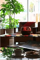 ���� ������ - ����������� �� RCC-TRAVEL.RU