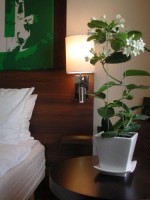 �������� - ����������� �� RCC-TRAVEL.RU