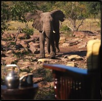 ��� - ����������� �� RCC-TRAVEL.RU