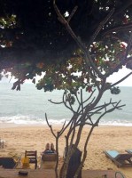 пляж - фотогалерея на RCC-TRAVEL.RU пляж - фотогалерея на RCC-TRAVEL.RU