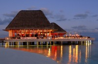 бар - фотогалерея на RCC-TRAVEL.RU бар - фотогалерея на RCC-TRAVEL.RU