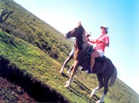 ������ �������� - ����������� �� RCC-TRAVEL.RU