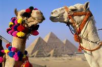 В МИД получила опровержение информация, предостерегающая туристов от отдыха в Египте и Турции