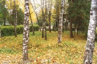 территория отеля - фотогалерея на RCC-TRAVEL.RU территория отеля - фотогалерея на RCC-TRAVEL.RU