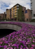 ��� ����� - ����������� �� RCC-TRAVEL.RU