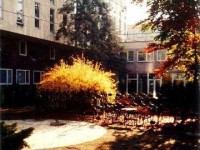 ��� - ����������� �� RCC-TRAVEL.RU