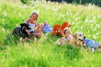 природа - фотогалерея на RCC-TRAVEL.RU природа - фотогалерея на RCC-TRAVEL.RU