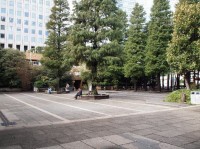 ����� ��� - ����������� �� RCC-TRAVEL.RU