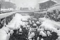 вид - фотогалерея на RCC-TRAVEL.RU вид - фотогалерея на RCC-TRAVEL.RU