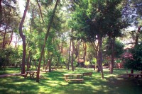 територия отеля - фотогалерея на RCC-TRAVEL.RU територия отеля - фотогалерея на RCC-TRAVEL.RU