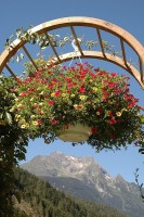 сад - фотогалерея на RCC-TRAVEL.RU сад - фотогалерея на RCC-TRAVEL.RU